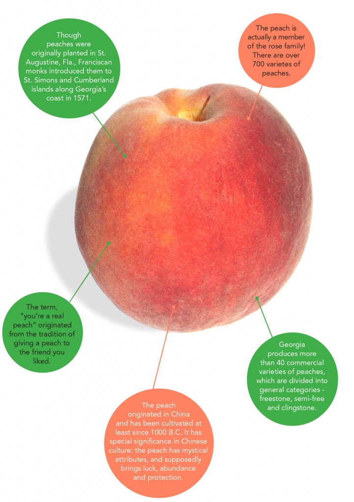 Peaches Information and Facts